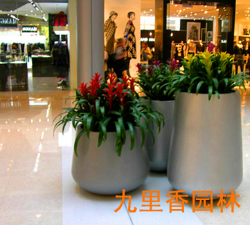 商场玻璃钢花盆植物三组