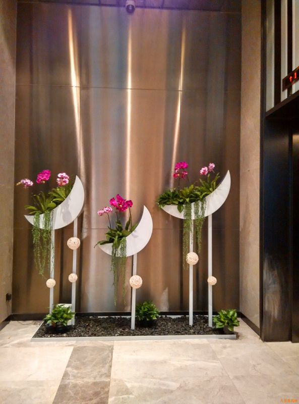 电梯厅植物造景